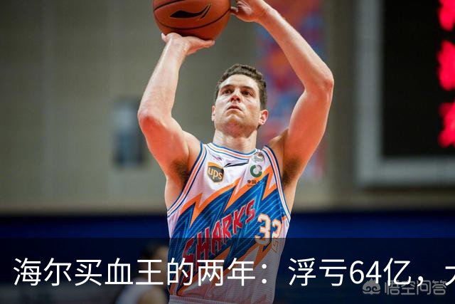 海尔买"血王"的两年：浮亏64亿，大健康梦遇阻