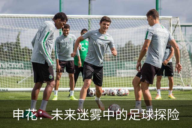 申花：未来迷雾中的足球探险